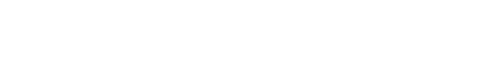 digiwunder-logo-white
