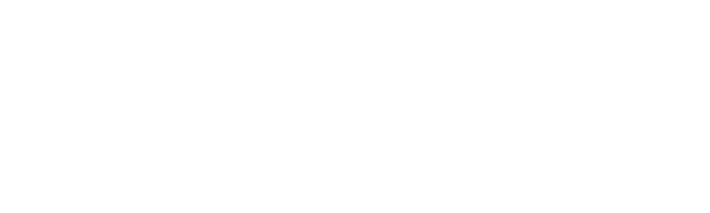 Digiwunder Logo